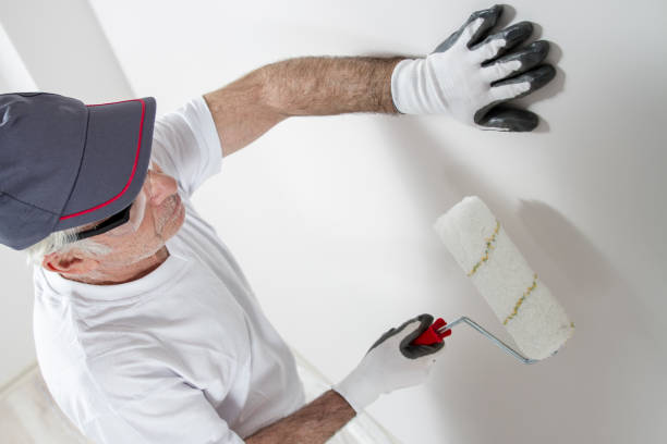 Best Asbestos and Lead Testing During Mold Inspection  in Maine, WI