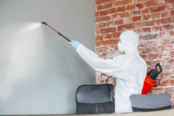 Best Mold Prevention Services  in Maine, WI
