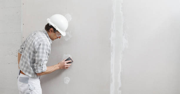 Best Black Mold Removal  in Maine, WI