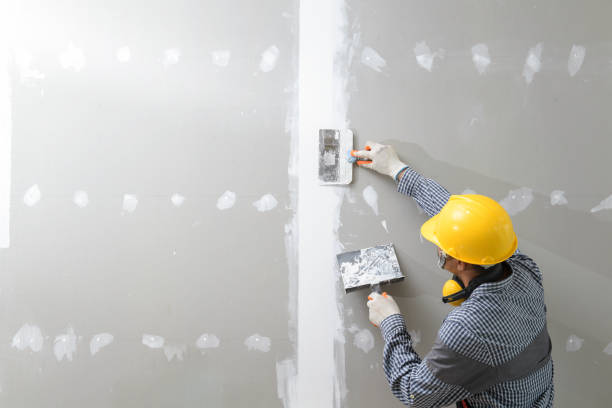 Best Airborne Mold Testing  in Maine, WI