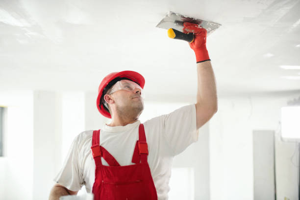 Best Attic Mold Removal  in Maine, WI