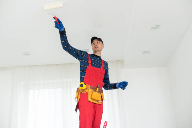 Best Mold Damage Restoration  in Maine, WI