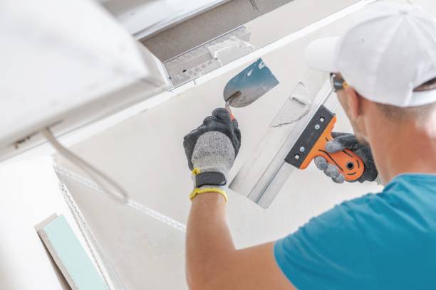 Best Emergency Mold Remediation  in Maine, WI